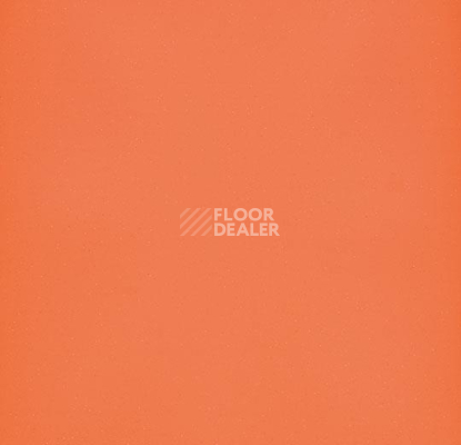 Линолеум Forbo Eternal Colour 40782 papaya фото 1 | FLOORDEALER